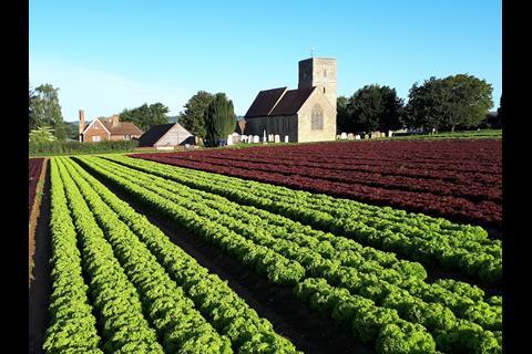 The salad producer is based at Church Farm in Offham, Kent